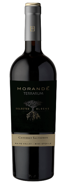 Morandé Select Blocks Syrah/Cabernet Sauvignon 